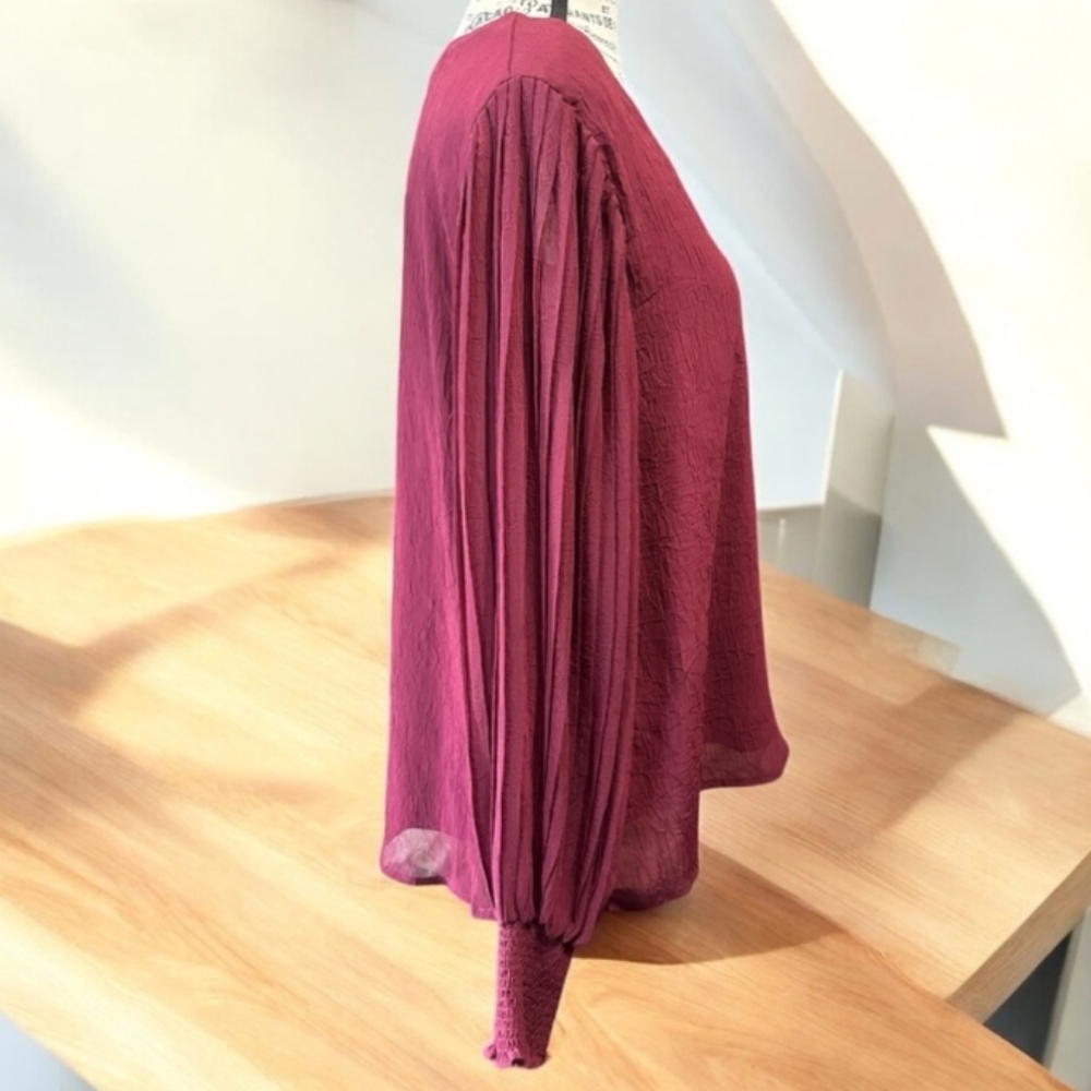 Entro Burgundy V-Neck Blouse Size M NWT - Picture 3 of 9